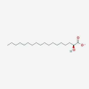 molecular formula C18H35O3- B1260286 (S)-2-Hydroxystearate 