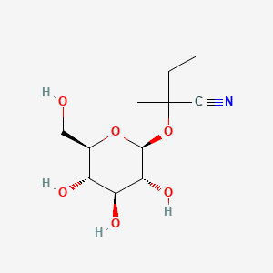 molecular formula C11H19NO6 B1260411 (2RS)-Lotaustralina CAS No. 1973415-50-7