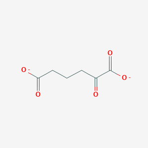 molecular formula C6H6O5-2 B1260483 2-Oxoadipate(2-) 