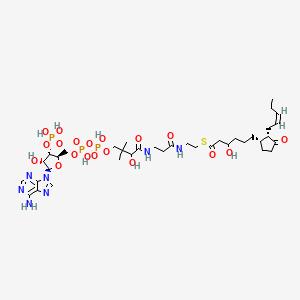 molecular formula C37H60N7O19P3S B1260604 3-Hydroxy-OPC6-CoA 