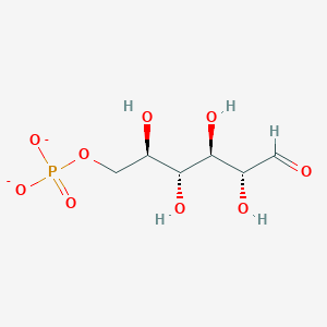 molecular formula C6H11O9P-2 B1260638 D-allose 6-phosphate(2-) 