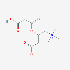 molecular formula C10H17NO6 B1260679 O-丙二酰肉碱 CAS No. 853728-01-5