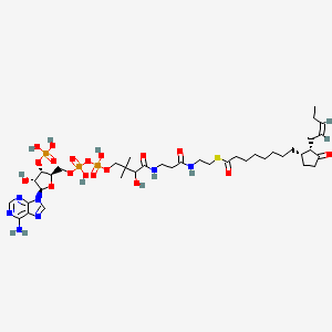molecular formula C39H64N7O18P3S B1260714 OPC8-CoA; (Acyl-CoA); [M+H]+ 