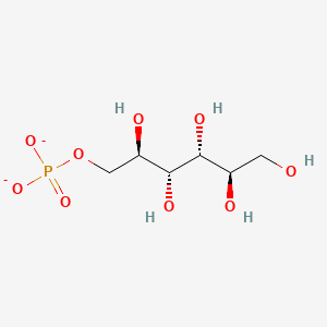 molecular formula C6H13O9P-2 B1260725 D-mannitol 1-phosphate(2-) 