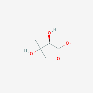 molecular formula C5H9O4- B1260741 (R)-2,3-dihydroxy-3-methylbutanoate 