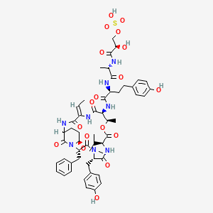 molecular formula C54H70N8O18S B1260757 [(2R)-3-[[(2S)-1-[[(2S)-1-[[(2S,5S,8S,11R,12S,15Z,18S,21R)-2-benzyl-15-ethylidene-5-[(4-hydroxyphenyl)methyl]-21-methoxy-4,11-dimethyl-3,6,9,13,16,22-hexaoxo-8-propan-2-yl-10-oxa-1,4,7,14,17-pentazabicyclo[16.3.1]docosan-12-yl]amino]-4-(4-hydroxyphenyl)-1-oxobutan-2-yl]amino]-1-oxopropan-2-yl]amino]-2-hydroxy-3-oxopropyl] hydrogen sulfate 