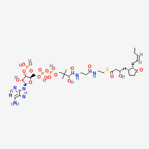 molecular formula C35H56N7O19P3S B1260805 3-羟基-OPC4-CoA 