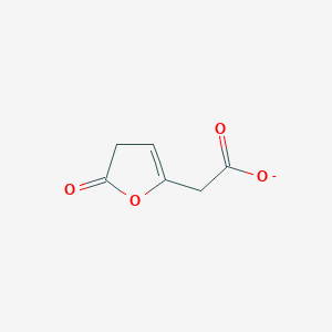 molecular formula C6H5O4- B1260861 5-氧代-4,5-二氢-2-呋喃基乙酸酯 