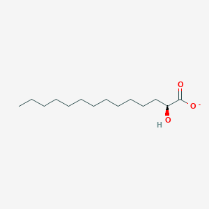 molecular formula C14H27O3- B1260888 (2S)-2-hydroxytetradecanoate 