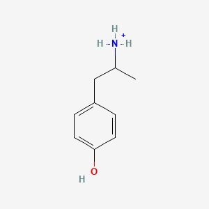 molecular formula C9H14NO+ B1260975 Hydroxyamphetamine 