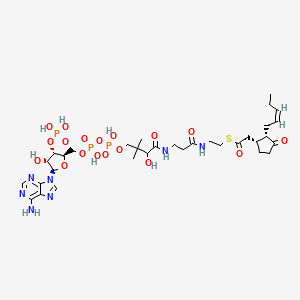 molecular formula C33H52N7O18P3S B1260997 (+)-7-茉莉酸CoA 