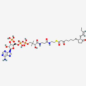 molecular formula C39H62N7O19P3S B1261022 3-Oxo-OPC8-CoA 