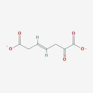 molecular formula C7H6O5-2 B1261027 2-Oxohept-4-ene-1,7-dioate 
