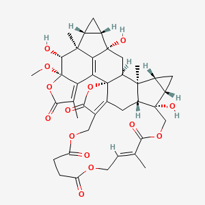 molecular formula C40H44O14 B1261063 8-O-methyltianmushanol 