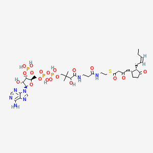 molecular formula C35H54N7O19P3S B1261147 3-Oxo-OPC4-CoA 