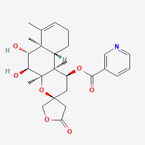 molecular formula C26H33NO7 B1261162 Scutebarbatine G 