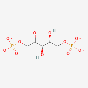 molecular formula C5H8O11P2-4 B1261197 D-ribulose 1,5-bisphosphate(4-) 