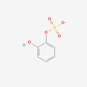 molecular formula C6H5O5S- B1261205 2-羟基苯基硫酸盐 