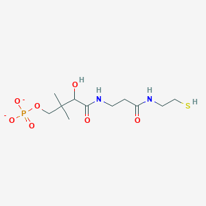 molecular formula C11H21N2O7PS-2 B1261210 Pantetheine 4'-phosphate(2-) 