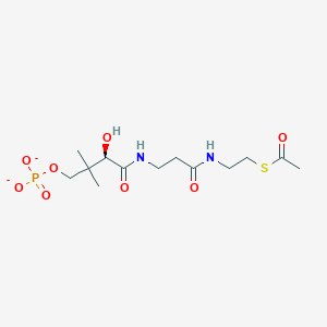molecular formula C13H23N2O8PS-2 B1261252 S-乙酰-4'-磷酸泛 Pantetheine 