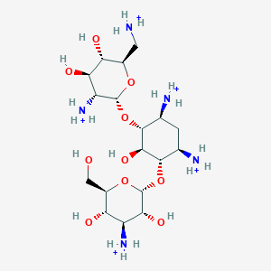 molecular formula C18H42N5O10+5 B1261298 卡那霉素 B 
