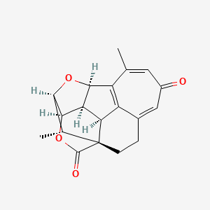 molecular formula C19H18O4 B1261318 (1S,11S,12R,13R,15R,16R,19S)-8,19-dimethyl-14,17-dioxahexacyclo[13.3.1.01,11.04,10.09,13.012,16]nonadeca-4,7,9-triene-6,18-dione 