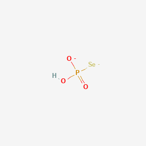 molecular formula HO3PSe-2 B1261386 Hydrogenselenophosphate 