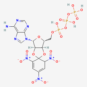 molecular formula C16H17N8O19P3 B1261400 2',3'-O-(2,4,6-Trinitro-cyclohexadienylidine)adenosine 5'-triphosphate 