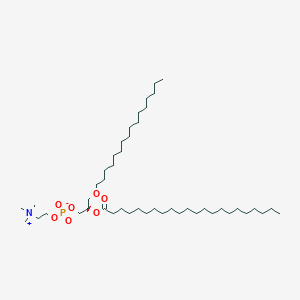 molecular formula C46H94NO7P B1261474 1-十六烷基-2-二十二烷酰-sn-甘油-3-磷酸胆碱 
