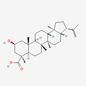 molecular formula C30H48O3 B1261572 (3S,3aS,5aR,5bR,7aR,8S,10S,11aR,11bR,13aR,13bS)-10-hydroxy-3-isopropenyl-5a,5b,8,11a,13b-pentamethyl-1,2,3,3a,4,5,6,7,7a,9,10,11,11b,12,13,13a-hexadecahydrocyclopenta[a]chrysene-8-carboxylic acid 