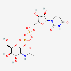molecular formula C17H25N3O17P2-2 B1261645 UDP-N-乙酰-α-D-半乳糖胺 