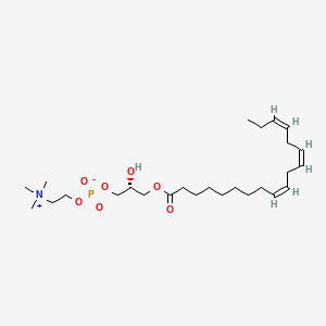 molecular formula C26H48NO7P B1261690 溶血磷脂酰胆碱(18:3(9Z,12Z,15Z)) 