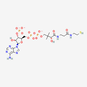 molecular formula C21H32N7O16P3S-4 B1261705 辅酶 A(4-) 
