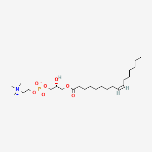 B1261748 1-(9Z-hexadecenoyl)-sn-glycero-3-phosphocholine CAS No. 76790-27-7