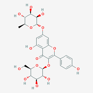 kaempferol 3-O-beta-D-glucopyranosyl-7-O-alpha-L-rhamnopyranoside