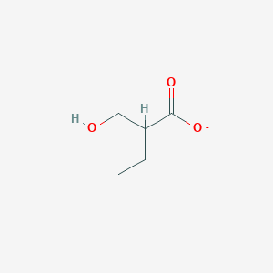 molecular formula C5H9O3- B1261846 2-Ethylhydracrylate 