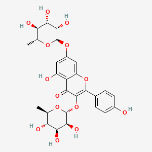 molecular formula C27H30O14 B1261888 5-Hydroxy-2-(4-hydroxyphenyl)-3,7-bis[[(2R,3S,4S,5S,6R)-3,4,5-trihydroxy-6-methyloxan-2-yl]oxy]chromen-4-one 