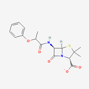 molecular formula C17H19N2O5S- B1261952 Phenethicillin(1-) 