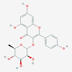 5,7-dihydroxy-2-(4-hydroxyphenyl)-3-((3S,4S,5S,6R)-3,4,5-trihydroxy-6-methyltetrahydro-2H-pyran-2-yloxy)-4H-chromen-4-one