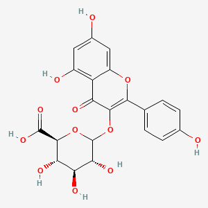molecular formula C21H18O12 B1261999 山奈酚-3-葡萄糖醛酸苷 