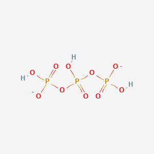 molecular formula H3O10P3-2 B1262035 Triphosphate(2-) 