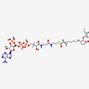 S-[2-[3-[[4-[[[(2R,3S,4R,5R)-5-(6-aminopurin-9-yl)-4-hydroxy-3-phosphonooxyoxolan-2-yl]methoxy-hydroxyphosphoryl]oxy-hydroxyphosphoryl]oxy-2-hydroxy-3,3-dimethylbutanoyl]amino]propanoylamino]ethyl] (E)-8-[(1S,2S)-3-oxo-2-[(Z)-pent-2-enyl]cyclopentyl]oct-2-enethioate