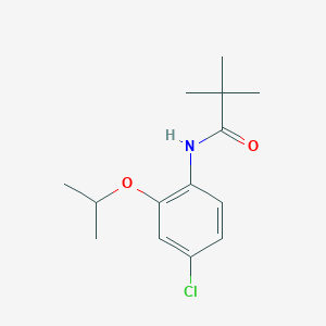 molecular formula C14H20ClNO2 B12621443 N-{4-Chloro-2-[(propan-2-yl)oxy]phenyl}-2,2-dimethylpropanamide CAS No. 922162-75-2