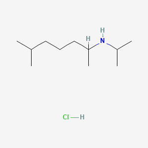 molecular formula C11H26ClN B1262180 1,5-Dimethyl-N-isopropylhexylamine hydrochloride 
