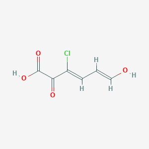 molecular formula C6H5ClO4 B1262208 (3Z,5E)-3-chloro-6-hydroxy-2-oxohexa-3,5-dienoic acid 