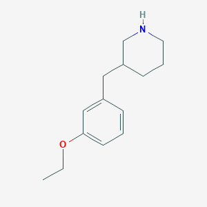 3-(3-Ethoxy-benzyl)-piperidine