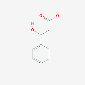 molecular formula C9H9O3- B1262273 3-羟基-3-苯基丙酸 