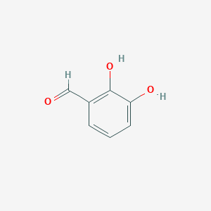 molecular formula C7H6O3 B126233 2,3-Dihydroxybenzaldehyde CAS No. 24677-78-9