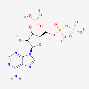 molecular formula C10H15N5O13P2Se B1262409 3-Phosphoadenylylselenate 