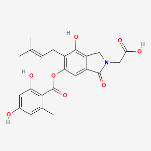 molecular formula C23H23NO8 B1262424 Sterenin D 